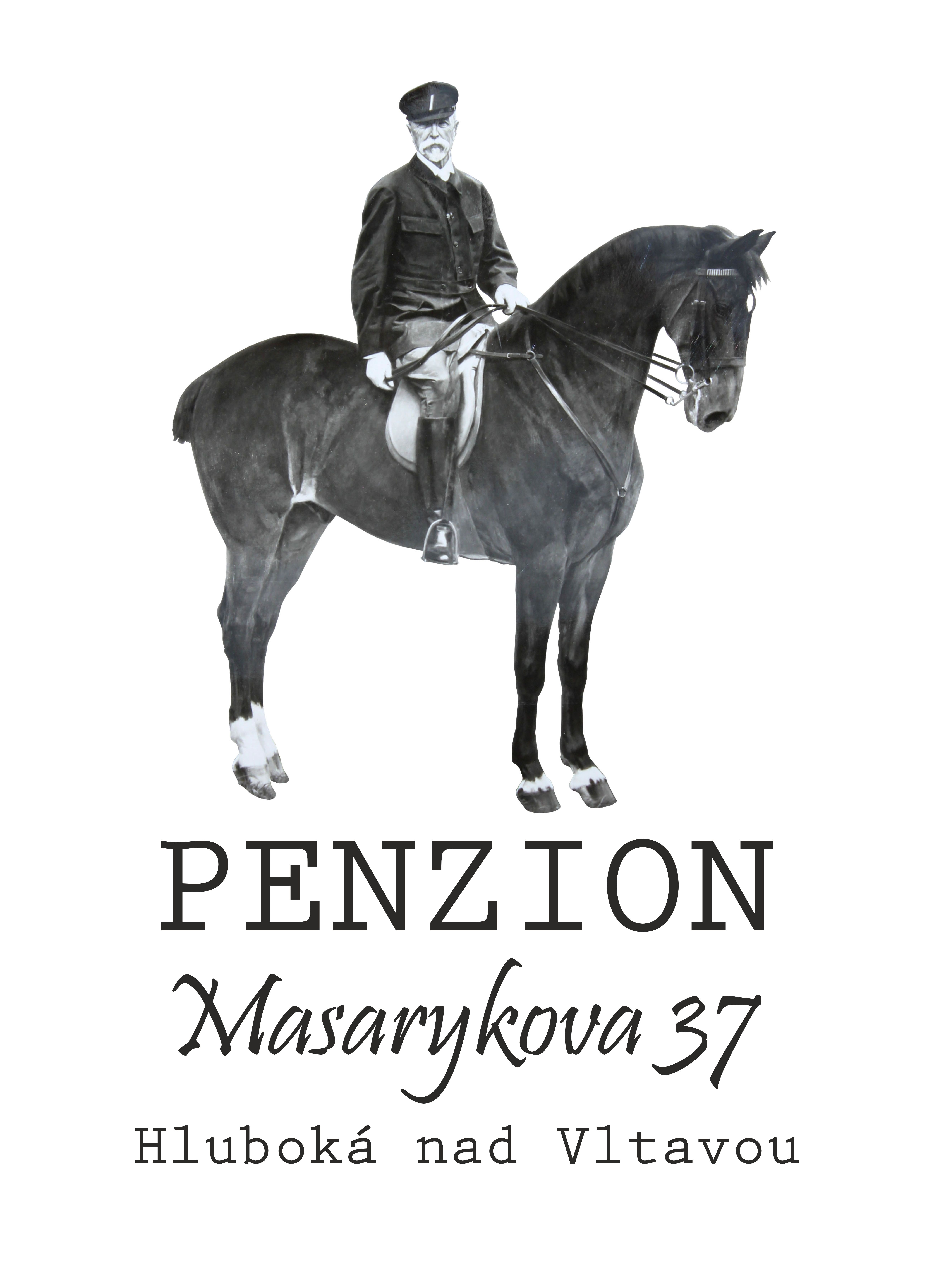Masarykova 37